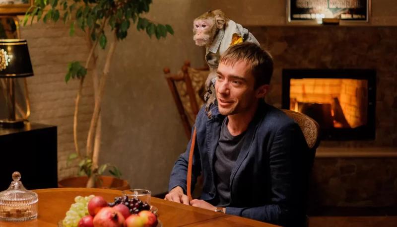 Началось производство второго сезона сериала "Майор и Меймун"