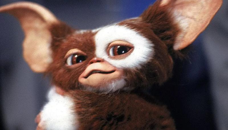 Объявлена дата премьеры фантастического фильма «Гремлины 3»