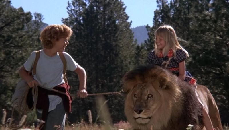 Джоди Фостер рассказала о нападении льва во время съемок