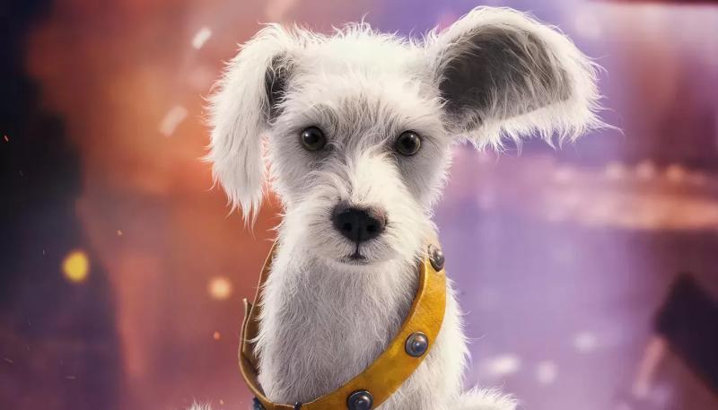 «Супергерл» установила рекорд в тестовых показах и разных финалах