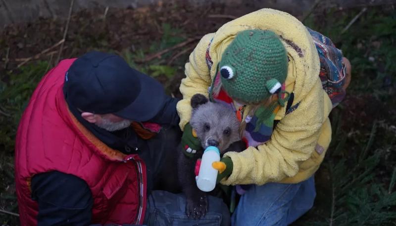 Начались съемки семейной комедии «Мой папа — медведь 2»